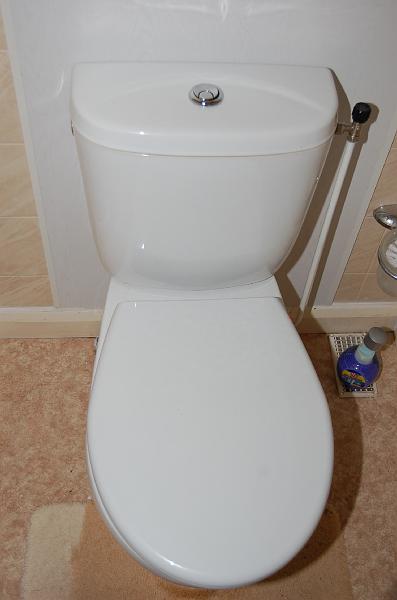 Nieuw Royal Sphinx duo-bloc toilet.JPG